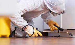 Best Pest Prevention Services  in Merchantville, NJ